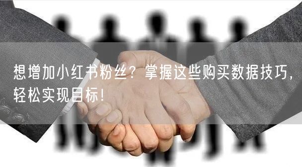 想增加小红书粉丝？掌握这些购买数据技巧，轻松实现目标！