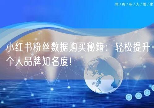 小红书粉丝数据购买秘籍：轻松提升个人品牌知名度！