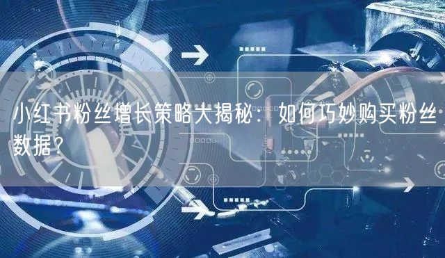 小红书粉丝增长策略大揭秘：如何巧妙购买粉丝数据？