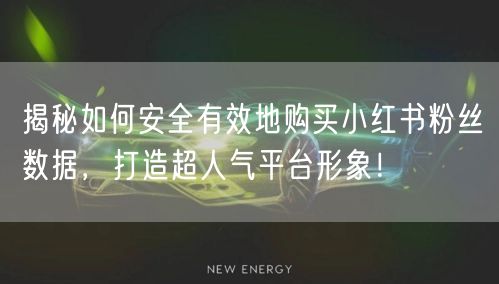 揭秘如何安全有效地购买小红书粉丝数据，打造超人气平台形象！
