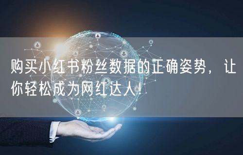 购买小红书粉丝数据的正确姿势，让你轻松成为网红达人！