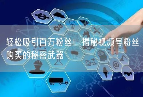 轻松吸引百万粉丝！揭秘视频号粉丝购买的秘密武器