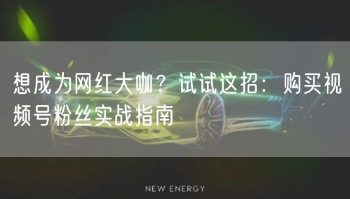 想成为网红大咖？试试这招：购买视频号粉丝实战指南