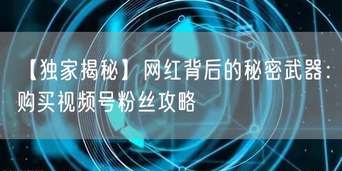 【独家揭秘】网红背后的秘密武器：购买视频号粉丝攻略