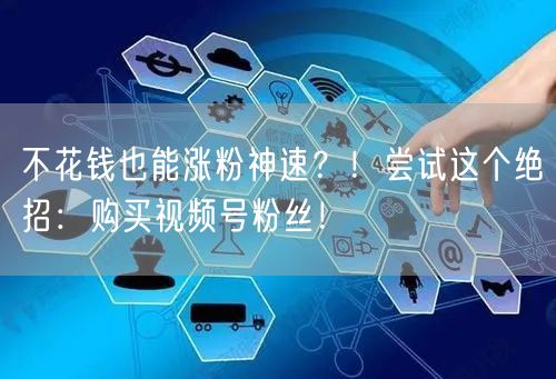 不花钱也能涨粉神速？！尝试这个绝招：购买视频号粉丝！