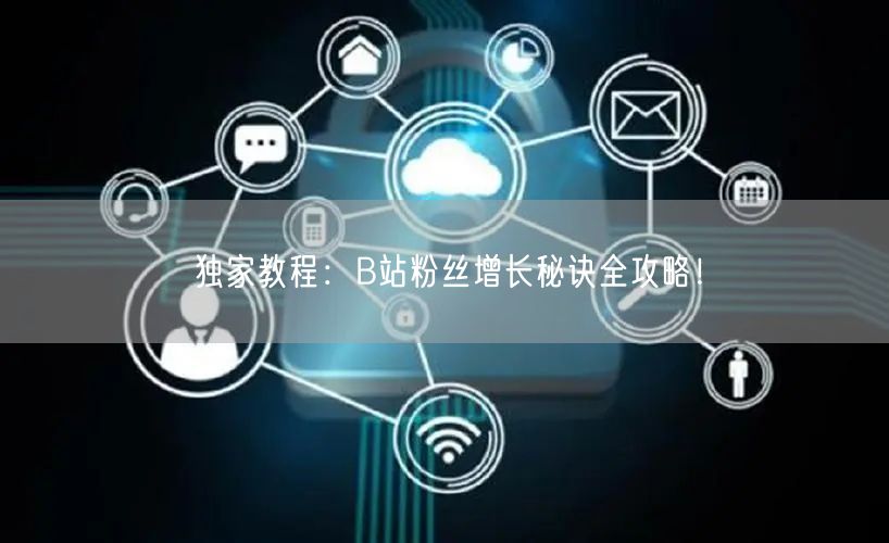 独家教程：B站粉丝增长秘诀全攻略！