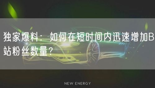 独家爆料：如何在短时间内迅速增加B站粉丝数量？