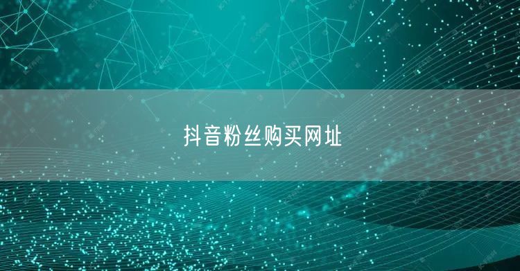 抖音粉丝购买网址