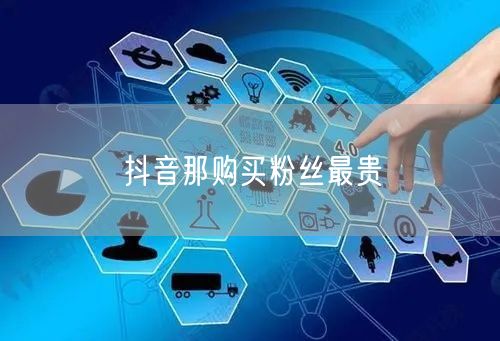 抖音那购买粉丝最贵