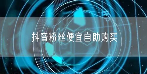 抖音粉丝便宜自助购买