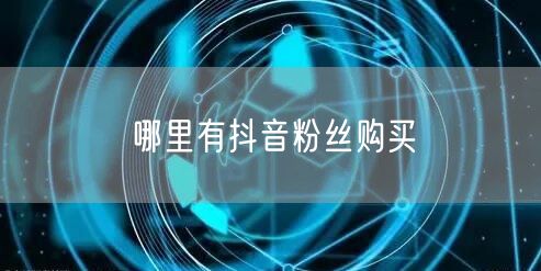 哪里有抖音粉丝购买