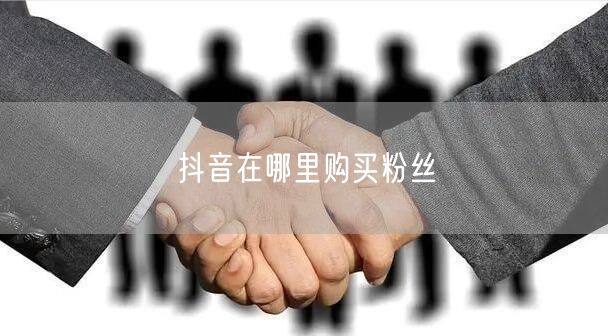 抖音在哪里购买粉丝