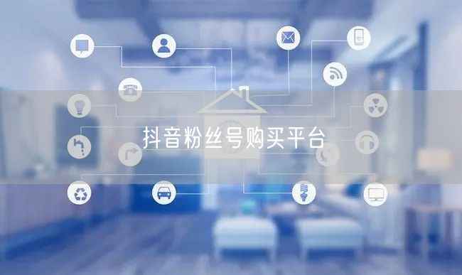 抖音粉丝号购买平台