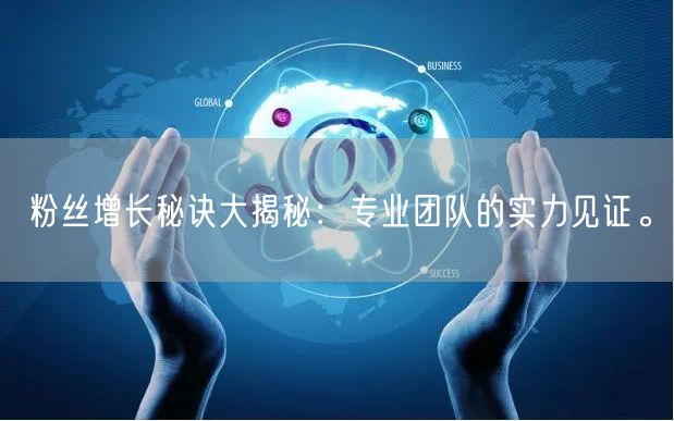 粉丝增长秘诀大揭秘：专业团队的实力见证。