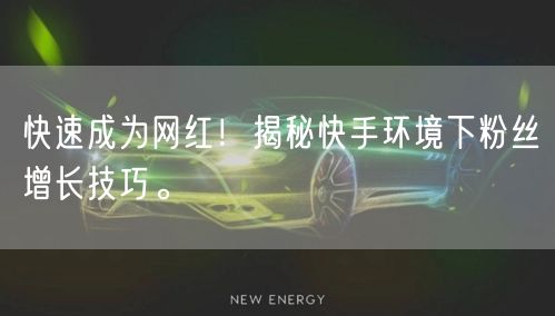 快速成为网红！揭秘快手环境下粉丝增长技巧。