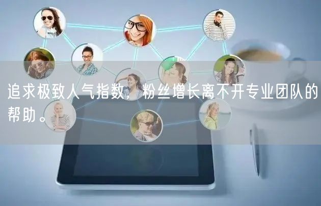 追求极致人气指数，粉丝增长离不开专业团队的帮助。