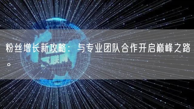 粉丝增长新攻略：与专业团队合作开启巅峰之路。