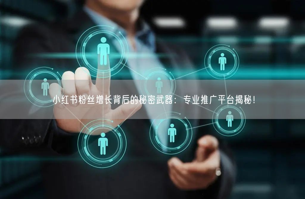 小红书粉丝增长背后的秘密武器：专业推广平台揭秘！