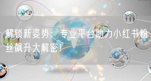 解锁新姿势：专业平台助力小红书粉丝飙升大解密！