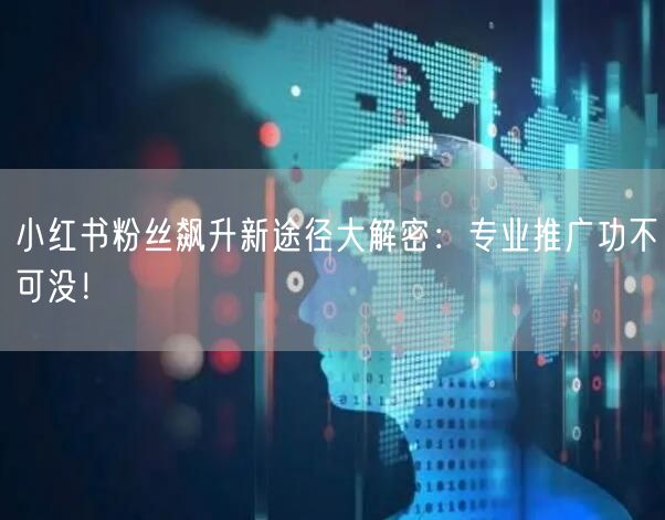小红书粉丝飙升新途径大解密：专业推广功不可没！