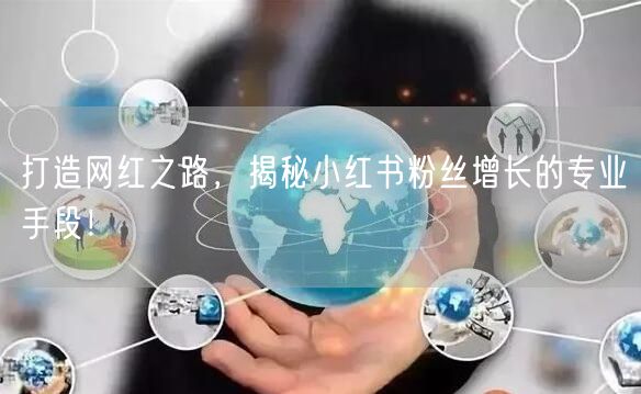打造网红之路，揭秘小红书粉丝增长的专业手段！