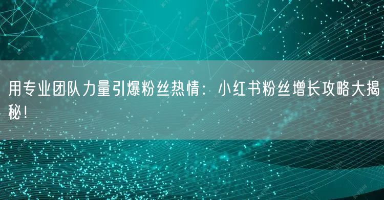 用专业团队力量引爆粉丝热情：小红书粉丝增长攻略大揭秘！