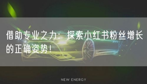 借助专业之力：探索小红书粉丝增长的正确姿势！