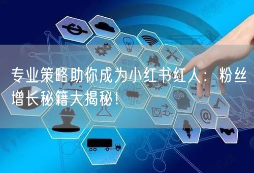 专业策略助你成为小红书红人：粉丝增长秘籍大揭秘！