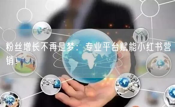 粉丝增长不再是梦：专业平台赋能小红书营销！