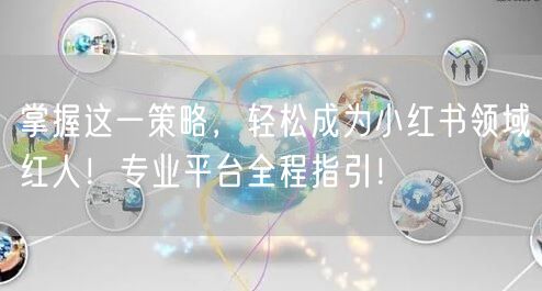 掌握这一策略，轻松成为小红书领域红人！专业平台全程指引！
