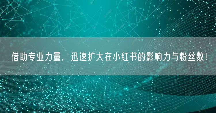 借助专业力量，迅速扩大在小红书的影响力与粉丝数！