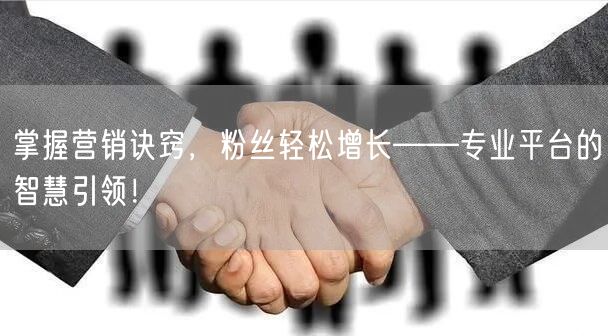 掌握营销诀窍，粉丝轻松增长——专业平台的智慧引领！