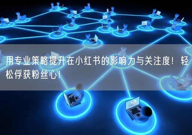 用专业策略提升在小红书的影响力与关注度！轻松俘获粉丝心！