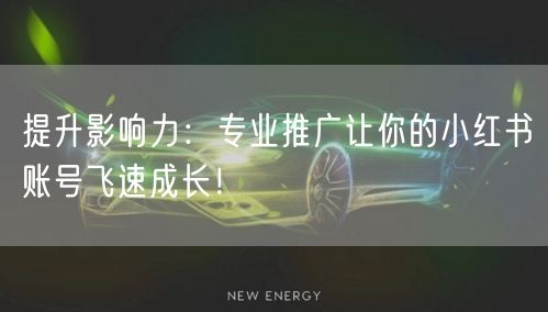 提升影响力：专业推广让你的小红书账号飞速成长！