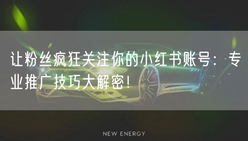 让粉丝疯狂关注你的小红书账号：专业推广技巧大解密！