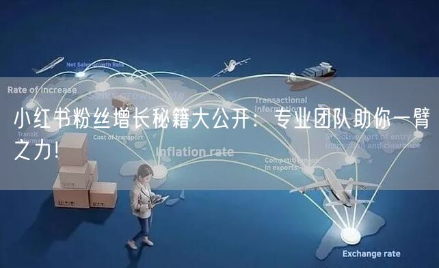 小红书粉丝增长秘籍大公开：专业团队助你一臂之力！