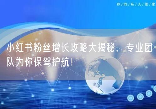 小红书粉丝增长攻略大揭秘，专业团队为你保驾护航！