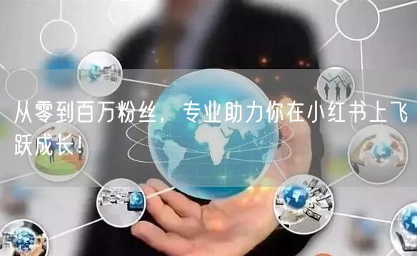 从零到百万粉丝，专业助力你在小红书上飞跃成长！