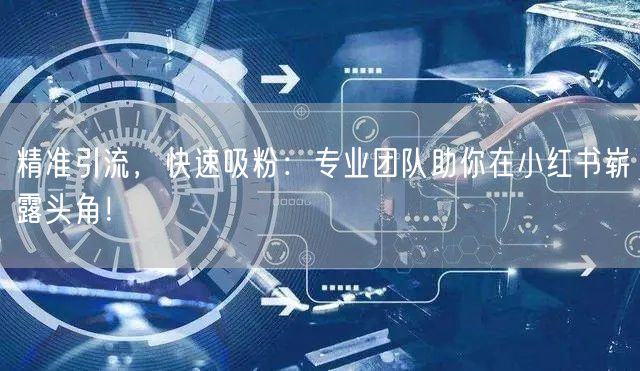 精准引流，快速吸粉：专业团队助你在小红书崭露头角！