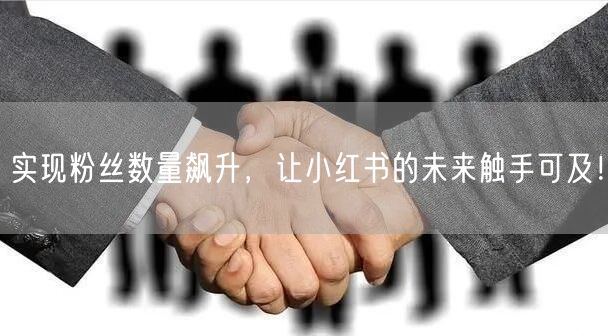 实现粉丝数量飙升，让小红书的未来触手可及！