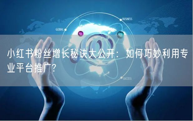 小红书粉丝增长秘诀大公开：如何巧妙利用专业平台推广?