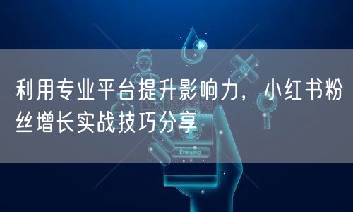 利用专业平台提升影响力，小红书粉丝增长实战技巧分享