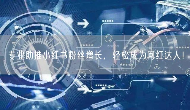 专业助推小红书粉丝增长，轻松成为网红达人！