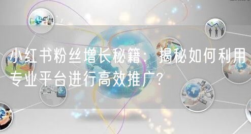 小红书粉丝增长秘籍：揭秘如何利用专业平台进行高效推广?