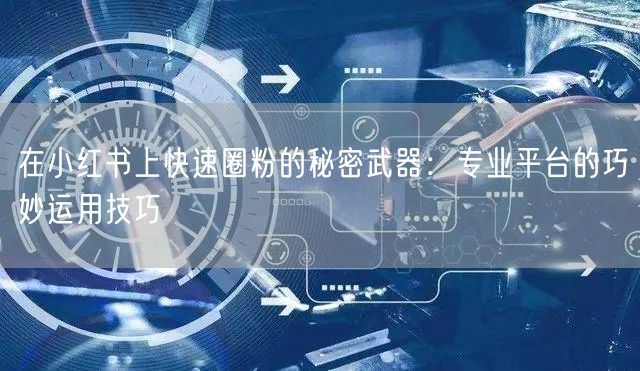 在小红书上快速圈粉的秘密武器：专业平台的巧妙运用技巧