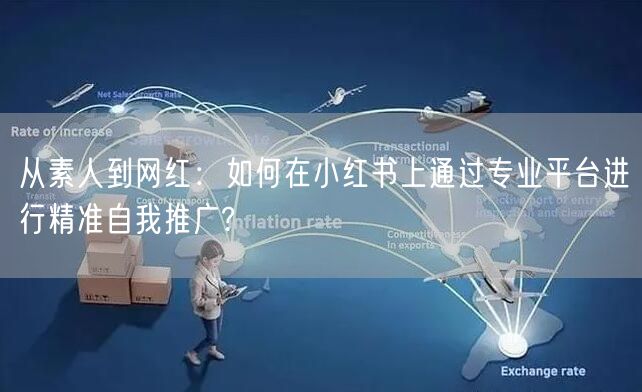 从素人到网红：如何在小红书上通过专业平台进行精准自我推广?