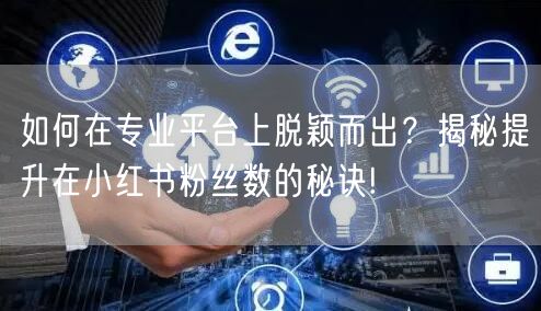 如何在专业平台上脱颖而出？揭秘提升在小红书粉丝数的秘诀!