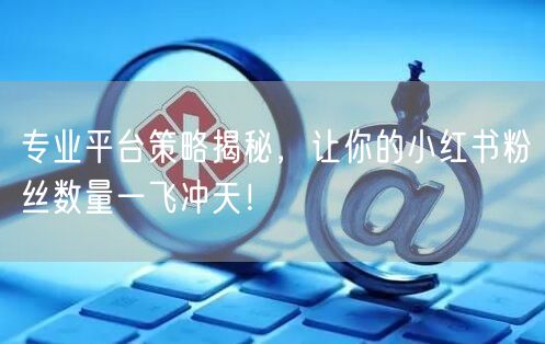 专业平台策略揭秘，让你的小红书粉丝数量一飞冲天！