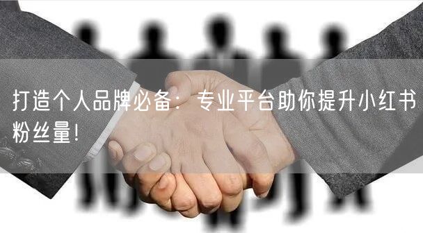 打造个人品牌必备：专业平台助你提升小红书粉丝量！