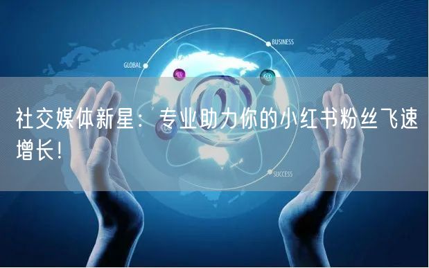 社交媒体新星：专业助力你的小红书粉丝飞速增长！